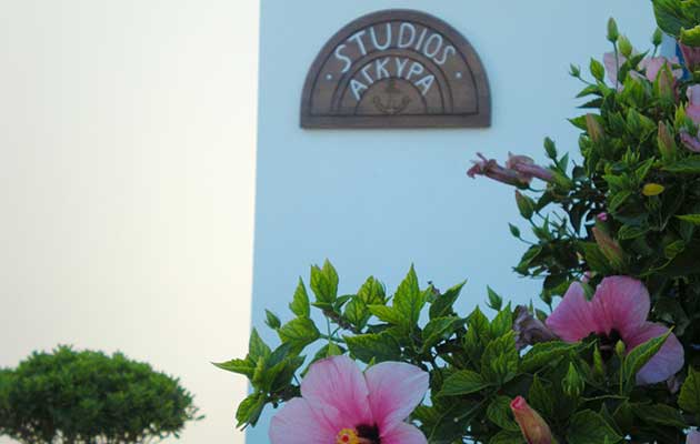 Ανθισμένα φυτά στον κήπο