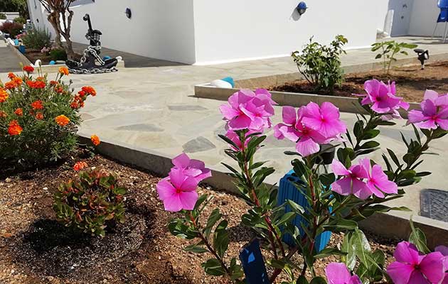 Ο κήπος στα Studios Agira