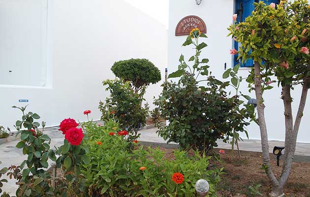 Ο κήπος στα Studios Agira